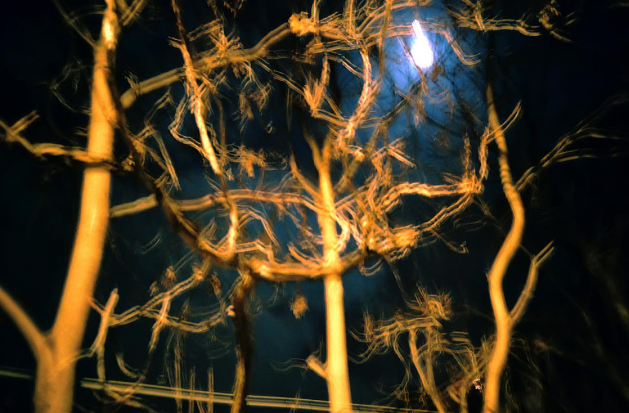 Cities masks and bodies_381